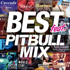 【CD】BEST FEAT. -PITBULL MIX-