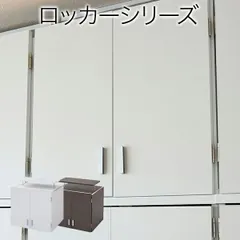 組み合わせ自由 Closto ハンガーラックシリーズ 上置き 幅60cm クローゼット ワードローブ シンプル チェスト 衣類収納 クローゼット 箪笥 たん笥 FRM-3004 洋タンス 天井 つっぱり 収納 クローゼット 衣類収納 服 洋服 衣類 天袋 棚のサムネイル