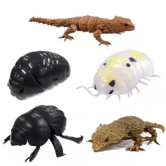 2025年最新】メタリックダンゴムシの人気アイテム - メルカリ