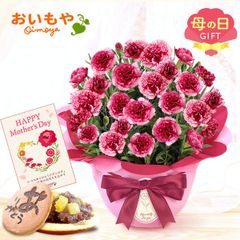 【おいもや公式】母の日限定 5号 カーネーション【プラムタルト】 どら焼き スイーツ 和菓子 お菓子 鉢植え プレゼント 生花 花 ピンク 赤 おしゃれ かわいい (お届け時期:5/5～11のいずれか)