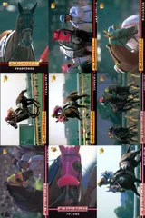 ux233 カード まとめ 競馬 サラブレッドカード 馬 マチカネフクキタル トキノエクセレント サイレンススズカ ディエムトップダン メジロドーベル ダイイチガー ハナノメガミ キョウエイマーチ