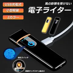 電子ライター usb ライター 電子ターボライター 小型 充電式ガス オイル不要 防風 軽量 薄型  キャンプ バーベキュー 登山 プレゼント たばこ おしゃれのサムネイル