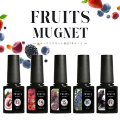 【送料無料】超高発色 マグネットネイル フルーツの果汁のような透明感あふれる カラージェル ジェルネイル クリアカラー フルーツマグネット ネイルジェル アートジェル ジェルネイル用品 爪 カラージェルネイル ネイル工房【フルーツマグネット 13～17】