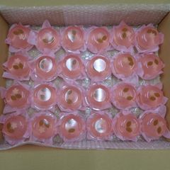 【訳あり】桜ゼリー24P★あわしま堂