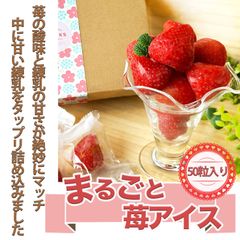 練乳 苺 いちご アイス 50粒 （ 練乳クリーム入り ） いちごまるごと アイス 練乳入り アイス アイスクリーム いちご　ギフトにもおすすめです。strawberry
