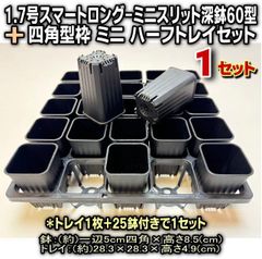 〇平日＊日中注文即日発送-1.7号スマートロング-ミニスリット深鉢60型-黒25鉢＋四角型枠ミニハーフトレイセット×1セット＊多肉植物・塊根植物コーデックス・アガベ・サボテン・盆栽・観葉植物・ハオルチア・アデニウム・パキポディウム・実生＠フラワーショップ江口