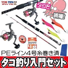 【新品】初心者釣りセット つり具TEN タコ釣り入門オールインワンセット