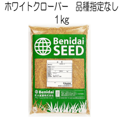 ホワイトクローバー種子　1kg　紅大貿易【種】緑化用　シロクローバー　グランドカバーの種
