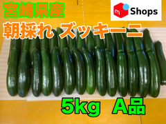 宮崎県産 ハウス栽培 朝採れ ズッキーニ 5キロ A品 美肌効果 免疫力アップ 便秘解消 血圧対策 ダイエット