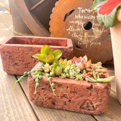 レンガモチーフの鉢（小）多肉植物寄せ植え鉢　ちまちま寄せ植え　サボテン鉢　レンガブロック　観葉植物鉢　ガーデニング雑貨