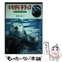 新品⭐️鳥羽水族館⭐️ラッコ写真集2冊セット - メルカリ