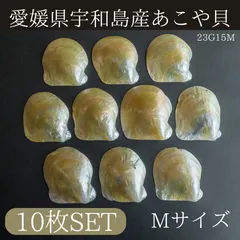 愛媛県宇和島産あこや貝（磨き）Mサイズ　お得な10枚セット