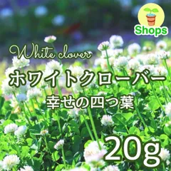 2026年最新】シロツメクサとクローバーの人気アイテム - メルカリ
