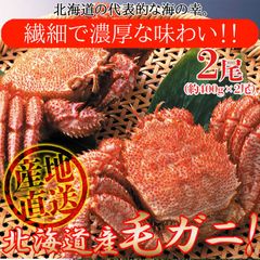 北海道を代表する海の幸絶品毛がに 400g×2尾	NK00000086 カニ 蟹
