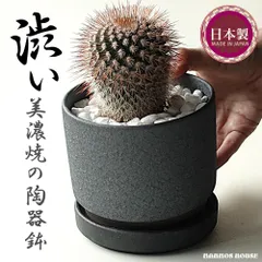 美濃焼 おしゃれ 植木鉢 プランター 日本製 陶器 フラワーポット 受け皿付き グリーンポット 鉢植え インテリア ガーデニング 小さめ 小さい 観葉植物 多肉植物