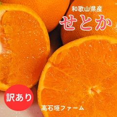 柑橘 【高石垣ファーム】 有田地区 せとか 家庭用 2.5kg 訳あり 和歌山県 《3/上旬～3/中旬より出荷》