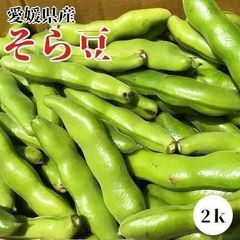 訳ありそら豆2ｋ（送料込み）