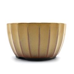 【未使用】盆栽鉢 4号 菊型小鉢 黄土色 黄釉 瀬戸焼 陶器 丸 約12センチ 山野草 観葉植物 アガベ 塊根 サボテン 小品 小さい 植木鉢 苔 うめきち盆栽用品店