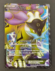 2025年最新】ライコウ psa10の人気アイテム - メルカリ