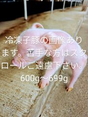爬虫類用エサ　冷凍子豚678g 680g（2匹セット）