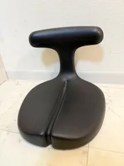 アーユルチェア メディカルシート 黒 中古 2025年最新】アーユルチェア メディカルシートの人気アイテム