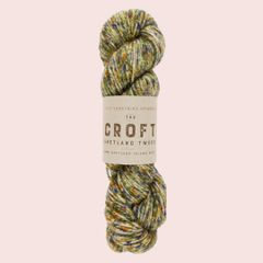 WYS Croft Aran 100%シェットランドウール✳︎Mossbank 757