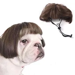 【数量限定】猫 ペット用帽子 ハロウィン おしゃれ 犬 面白い 目に立つ 笑える 犬被り物 ワンちゃん コスプレ かつら ペットウィッグ 着脱簡単 変身 撮影道具