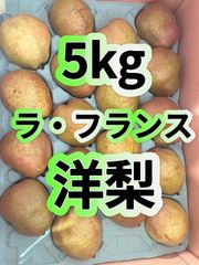 ラ・フランス 5kg 秀品　山形県産　西洋梨 梨　なし