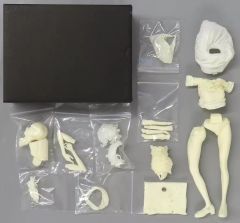 BLAME! シャキサクの守護神 ガレージキット ブラム 未組立 - メルカリ