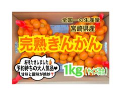 【本来の輝き】完熟❣️露地きんかん1kg/金柑　キンカン　みかん　国産レモン