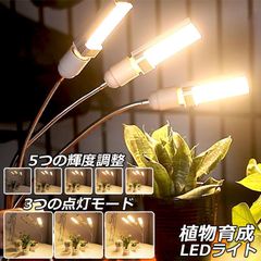 Item thumbnail for item 8117d723-623f-447f-8db1-e09b9d09821c