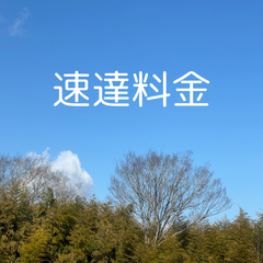 追加速達代金