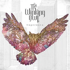 The Winking Owl Supernova　未開封CD+直筆サイン色紙 2025年最新】The Winking Owlの人気アイテム - メルカリ