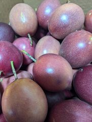 奄美大島産　パッションフルーツ　農薬・化学肥料不使用 2025年先行予約】農薬・化学肥料不使用 奄美パッションフルーツ
