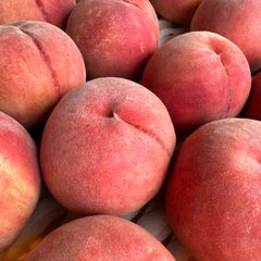 ももちゃん果樹園の桃 福島の桃 ふくあかり 約3キロ箱 ワケあり