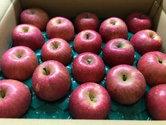 青森県産「ぐんま名月」「サンふじ」家庭用 キズ有 約5kg 各1箱 2箱セット