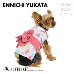 【縁日浴衣1-4号2L-3L／ホワイト】ドッグウェア 浴衣 小型犬 中型犬 犬 服 春 夏 春夏 夏祭り 金魚 金魚柄 可愛い かわいい おしゃれ 犬の服 ペット服 犬服 ペット グッズ 洋服 ペット用品 LIFELIKE［返品不可・サイズ交換可］