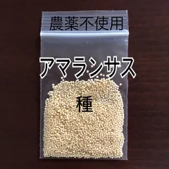 発芽確認済　アマランサス　有機種子　3gのサムネイル
