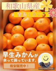 ☆限定破格☆和歌山県産ゆらみかん蜜柑1.5キロ～２キロ箱☆由良ミカン☆のサムネイル