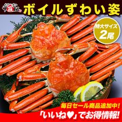 [코라조] 희귀한 특대 사이즈를 엄선! 보일 귀엽게 모습 1.5kg (750g 전후 × 2 하이) 대게 게 게 다리 손톱 게 된장 게 미소 들여 선물