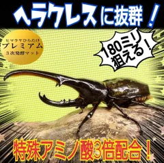 2023年最新】クワガタ マット 微粒子の人気アイテム - メルカリ