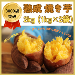 【月間販売数 3000袋突破！！】 千葉県産 熟成 焼き芋 2kg(1kg×2) 無添加 国産 紅はるか スイーツ おやつ 冷凍 さつまいも 焼芋 干し芋 好きに やきいも さつま芋 サツマイモ ダイエット クール便 マイファーマーズ