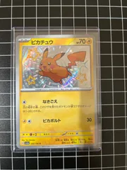 色違いピカチュウ