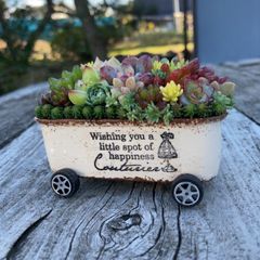 オーダー承ります 多肉植物寄せ植えそのまま飾れるちま寄せ花車