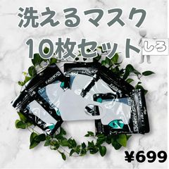 即購入可　新品未使用　白　洗えるマスク　ウレタンマスク　白マスク　10枚　セット　花粉症