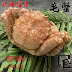 【🦀午後タイムセール🦀】【特大！】毛蟹　約750gサイズ  1尾　冷凍　ボイル　毛がに　カニ