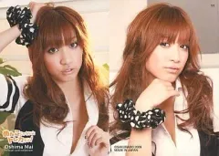 さくら堂 2009 AKB48 大島麻衣 直筆サインカード AKB48 大島麻衣 2009