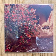 【新品】HAPPFAT - MELT 6 [MIX CD] ミックスCD