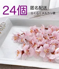 2024年最新】桜 ハーバリウムの人気アイテム - メルカリ