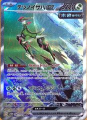 【ポケカ】ポケモンカードゲーム　テツノイサハex【SAR】
